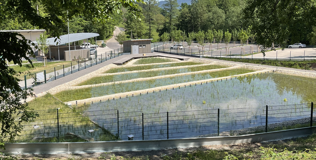 Naturerlebnisbäder Limnologie