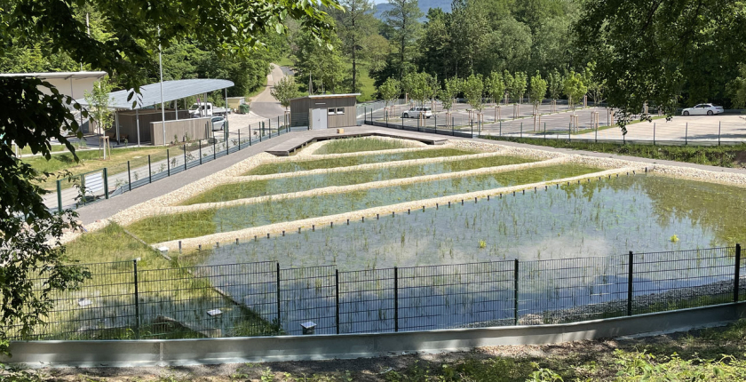 Naturerlebnisbäder Limnologie