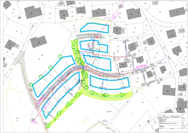 Görwihl<br> BG Moos