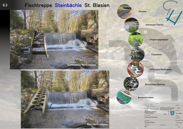 St.Blasien<br> Fischtreppe