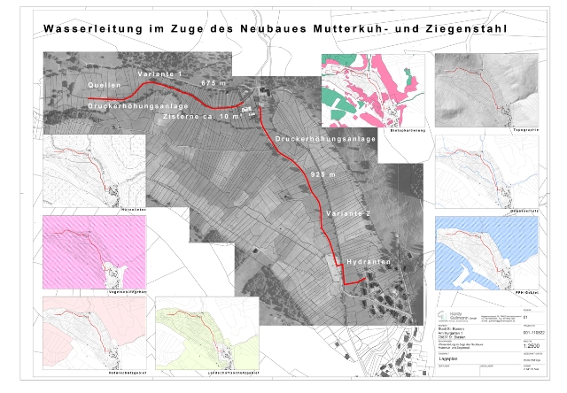 St. Blasien<br> Wasser Mutterkuhstall