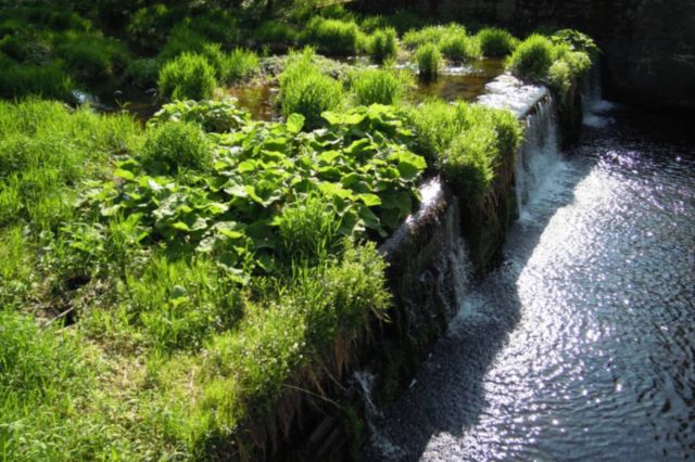 St.Blasien<br>Alb Durchgängigkeit